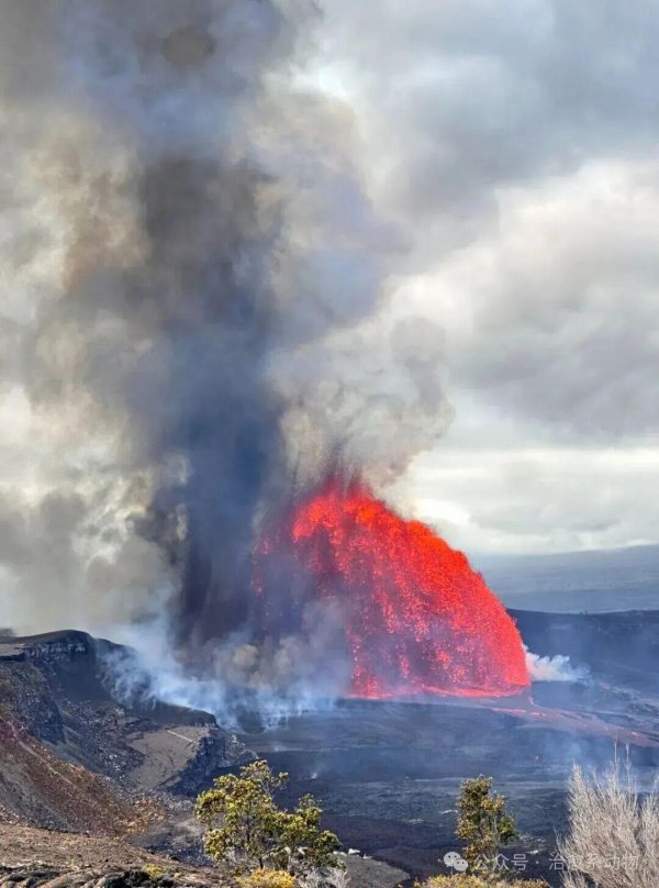 南京股票配资 主人带狗子去夏威夷看火山爆发，但是……你倒是让它看啊！